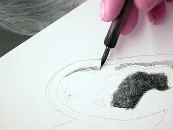 Ear8
