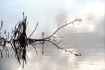 Photos22