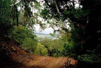Photos24