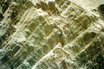Photos26